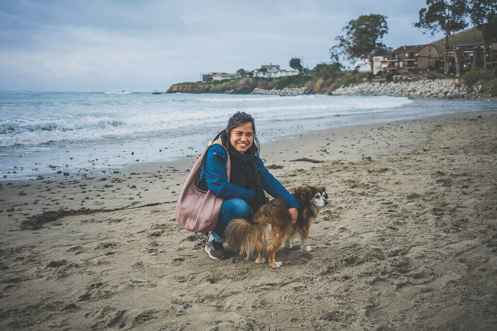 Cayucos State beach is a dog friendly beach on California's central coast in Cayucos. Dogs must be on leash at all times