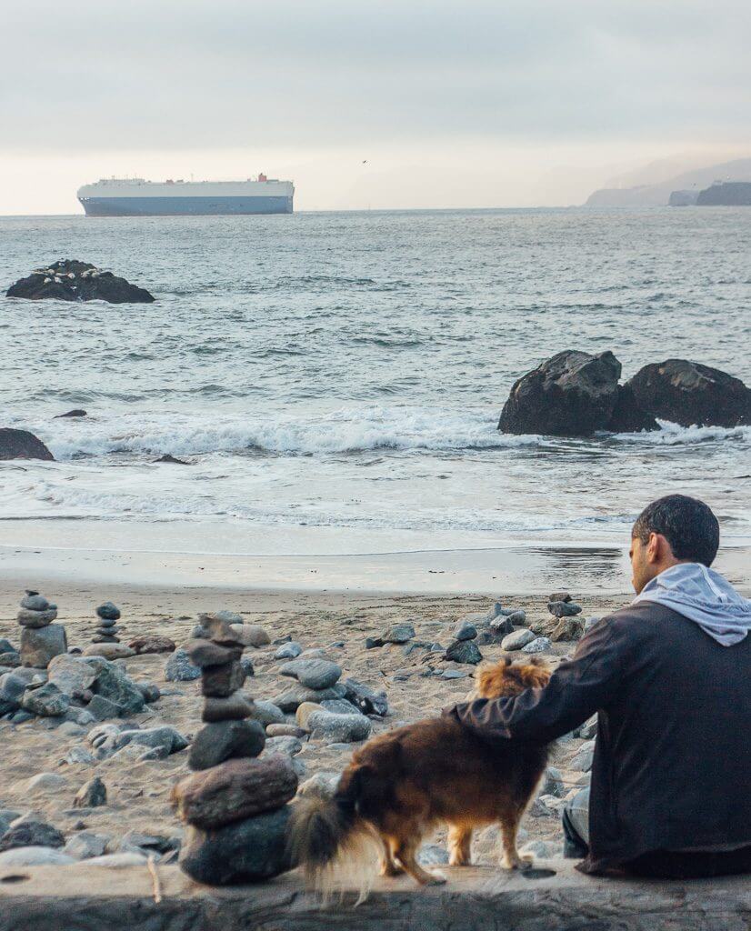 Mile Rock beach is one of the best kept secrets of San Francisco and is a dog friendly beach