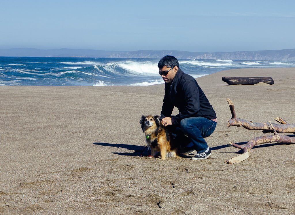 Kehoe beach is one of the few dog friendly beaches at Point Reyes National Seashore, California