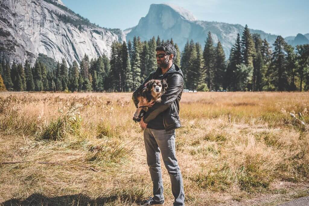 are dogs allowed in yosemite falls trail