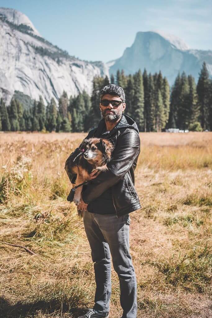 cooks meadow loop allows dogs on paved trails