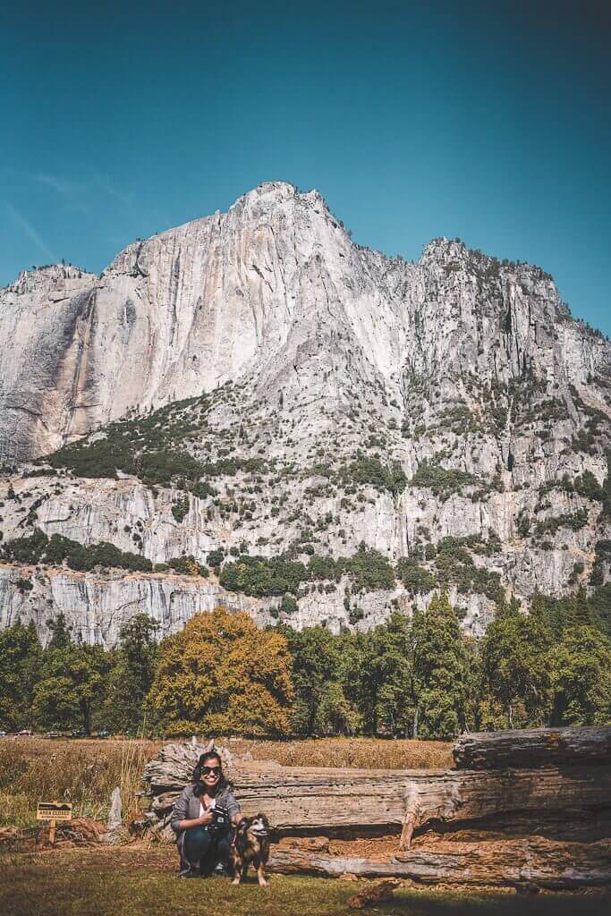 are dogs allowed in yosemite falls trail