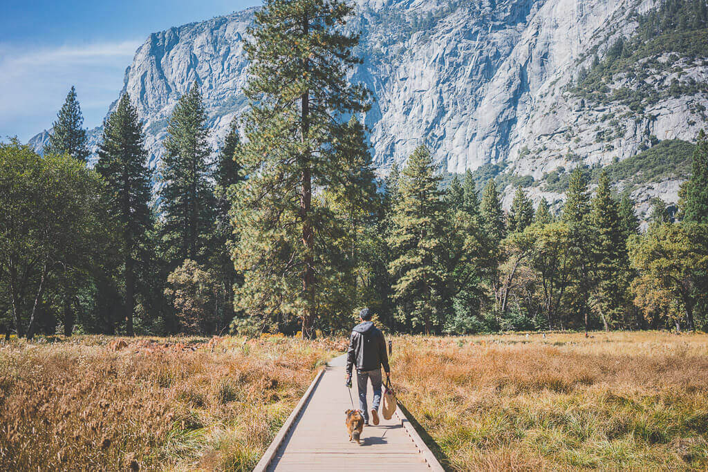 Fall colors can be seen in Yosemite while visiting San Francisco via a weekend trip