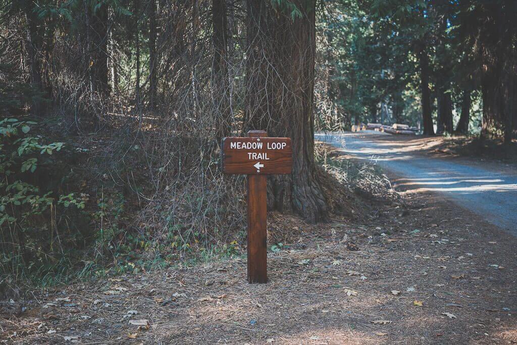 Yosemite dog hikes, dog friendly hiking trails in Yosemite, Wawona meadow loop