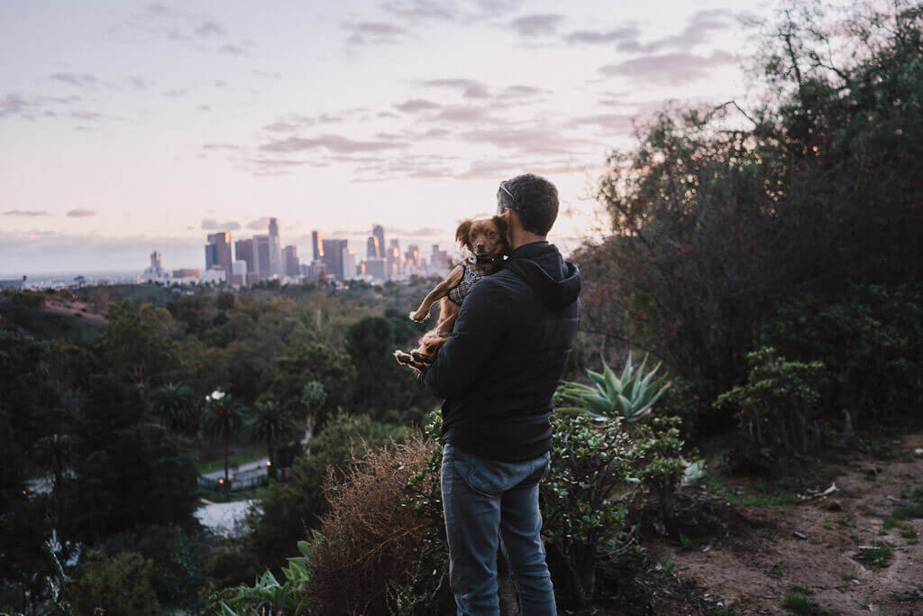 What to do with your dog in Los Angeles, watching the sunset from Elysian Park with dog