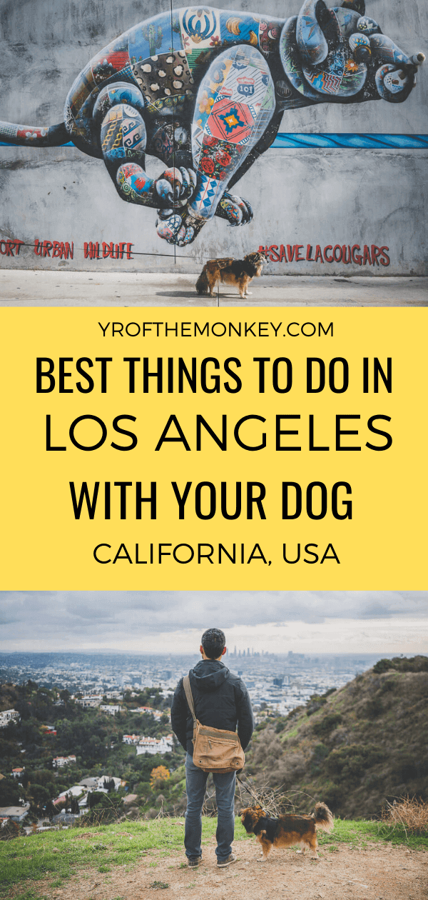 Looking to take your pup to Los Angeles? Then read this dog friendly guide to LA featuring the best hikes, dog parks, restaurants and top dog friendly day trips to guarantee maximum fun for your dog friendly vacation in Southern California #dogfriendly #petfriendly #dogfriendlyhotels #travelwithdogs #USA #California #LosAngeles #dogfriendlyguide #dogfriendlytravel #southerncalifornia