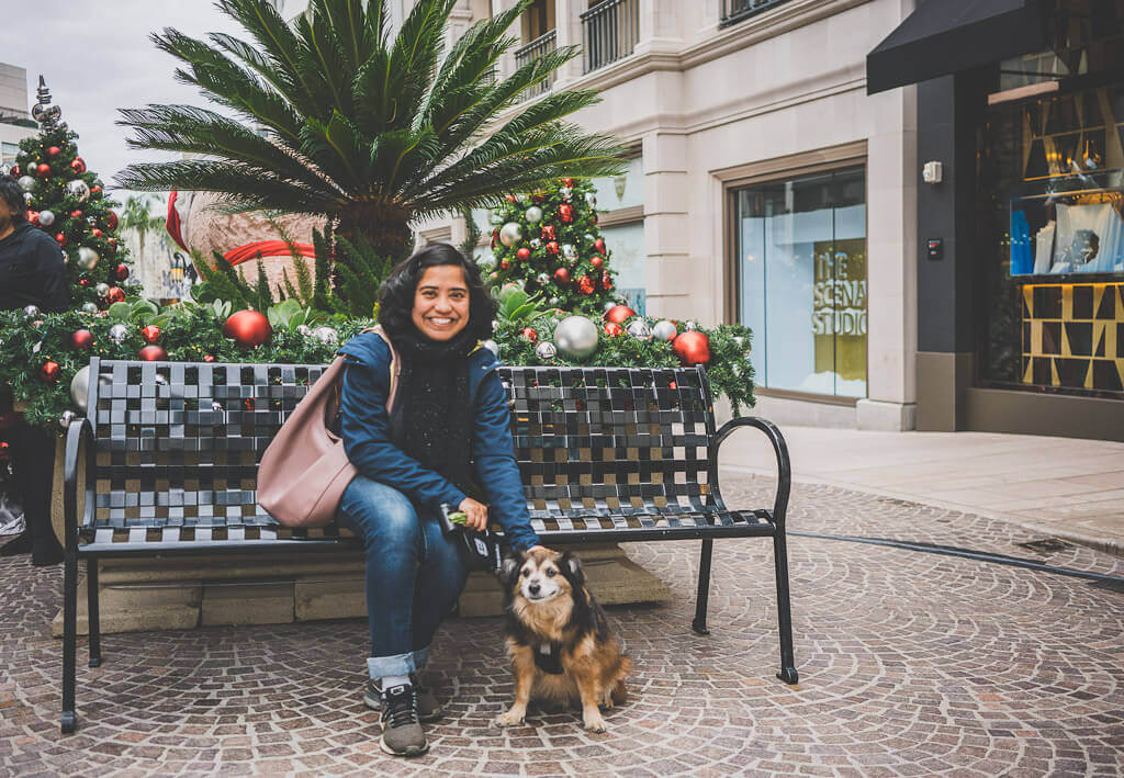 Dog friendly Los Angeles: explore Rodeo drive with your dog