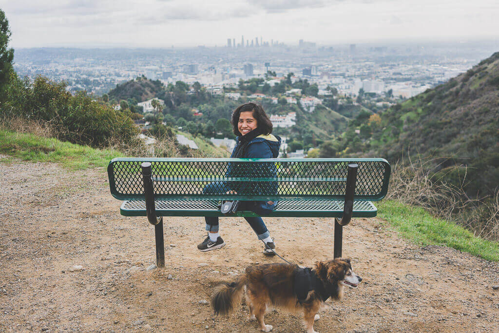 Runyon Canyon Park is one of the best dog parks in LA