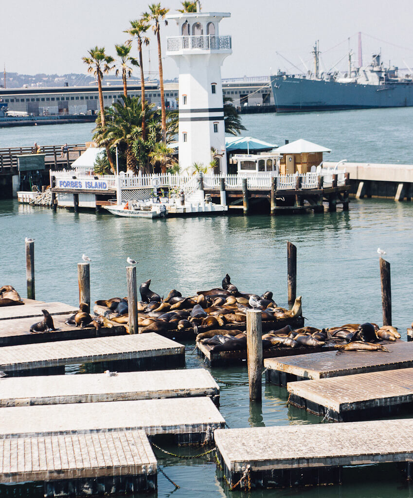 Visit Fisherman's Wharf during a San Francisco layover