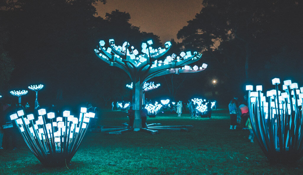 Entwined San Francisco enchanted forest LED light installation