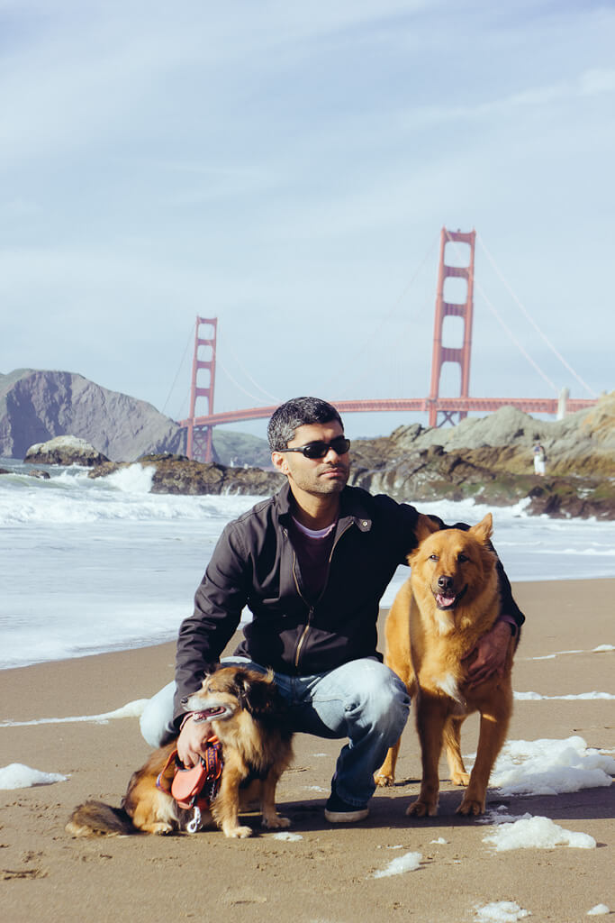 SF beaches that are dog friendly, dog beaches in San Francisco