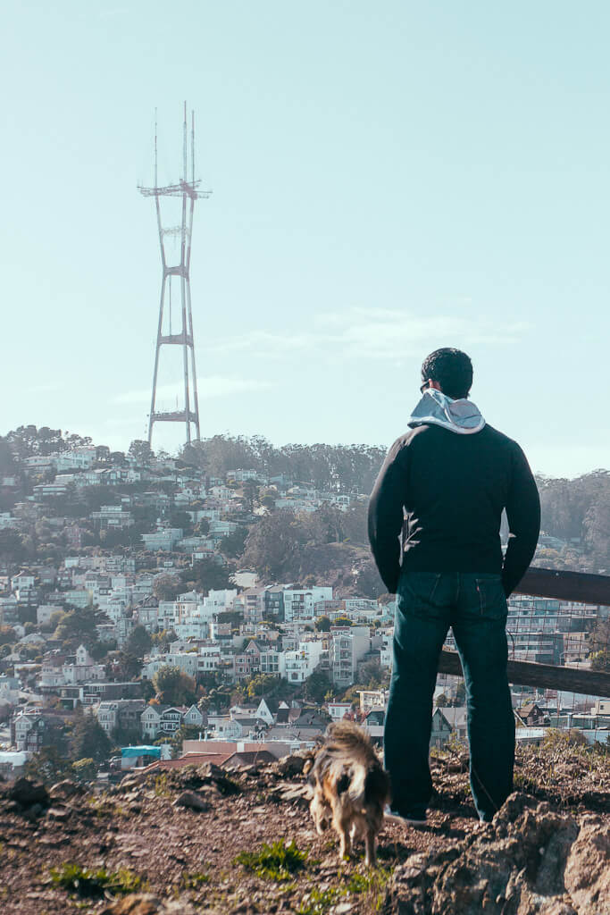 Corona Heights Park hiking with dogs in San Francisco, dog friendly hikes in Bay Area