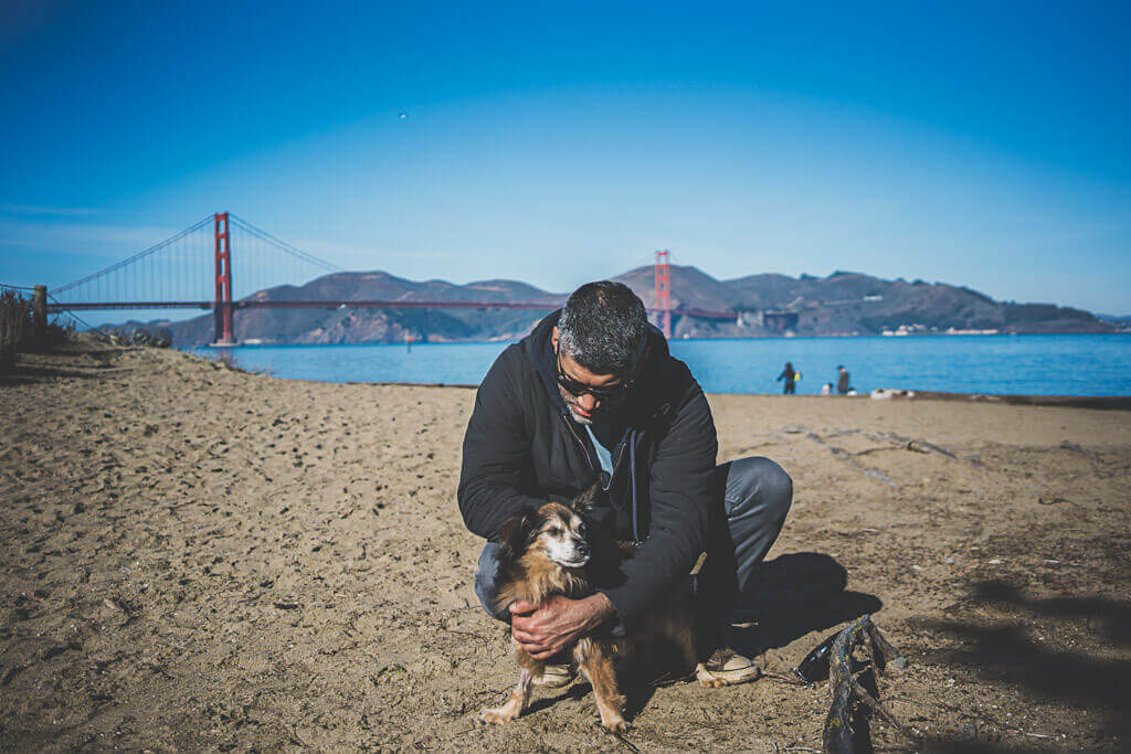 Crissy field east Beach is an off-leash dog friendly beach in San Francisco