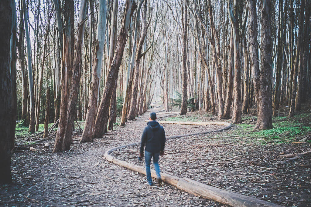 lovers lane in presidio-walk down for a romantic date in San Francisco