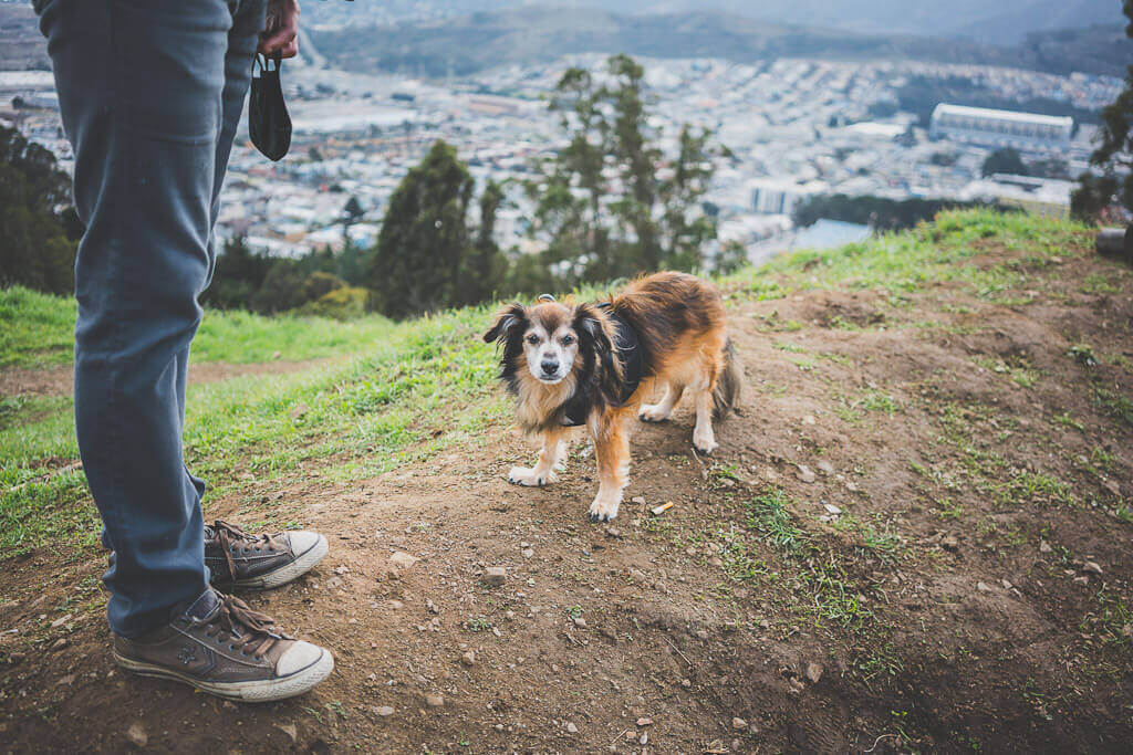 John McLaren park has best views in San Francisco