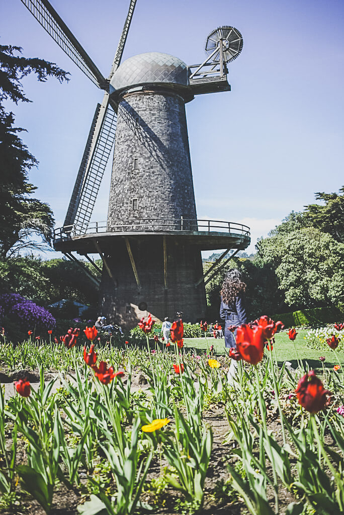 hidden gems in San Francisco: Dutch Windmill in Golden gate Park
