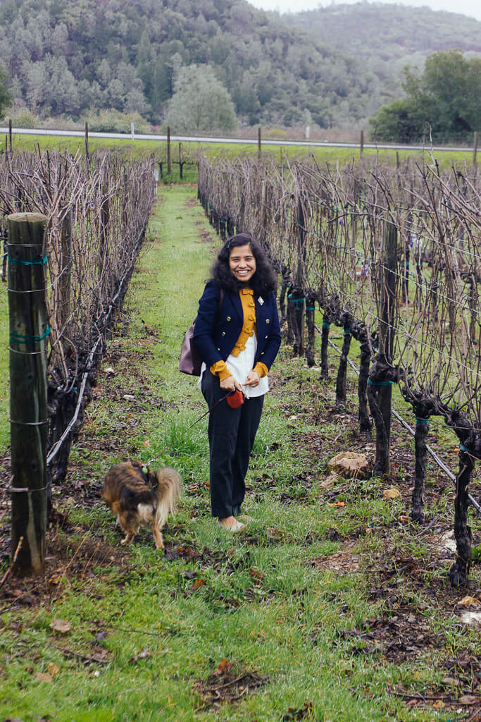 dog friendly winery Markham vineyards in St. Helena