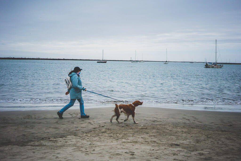 best dog beach in half moon bay