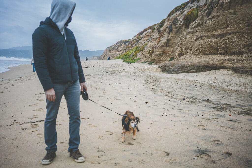 dog friendly beaches in Half Moon Bay