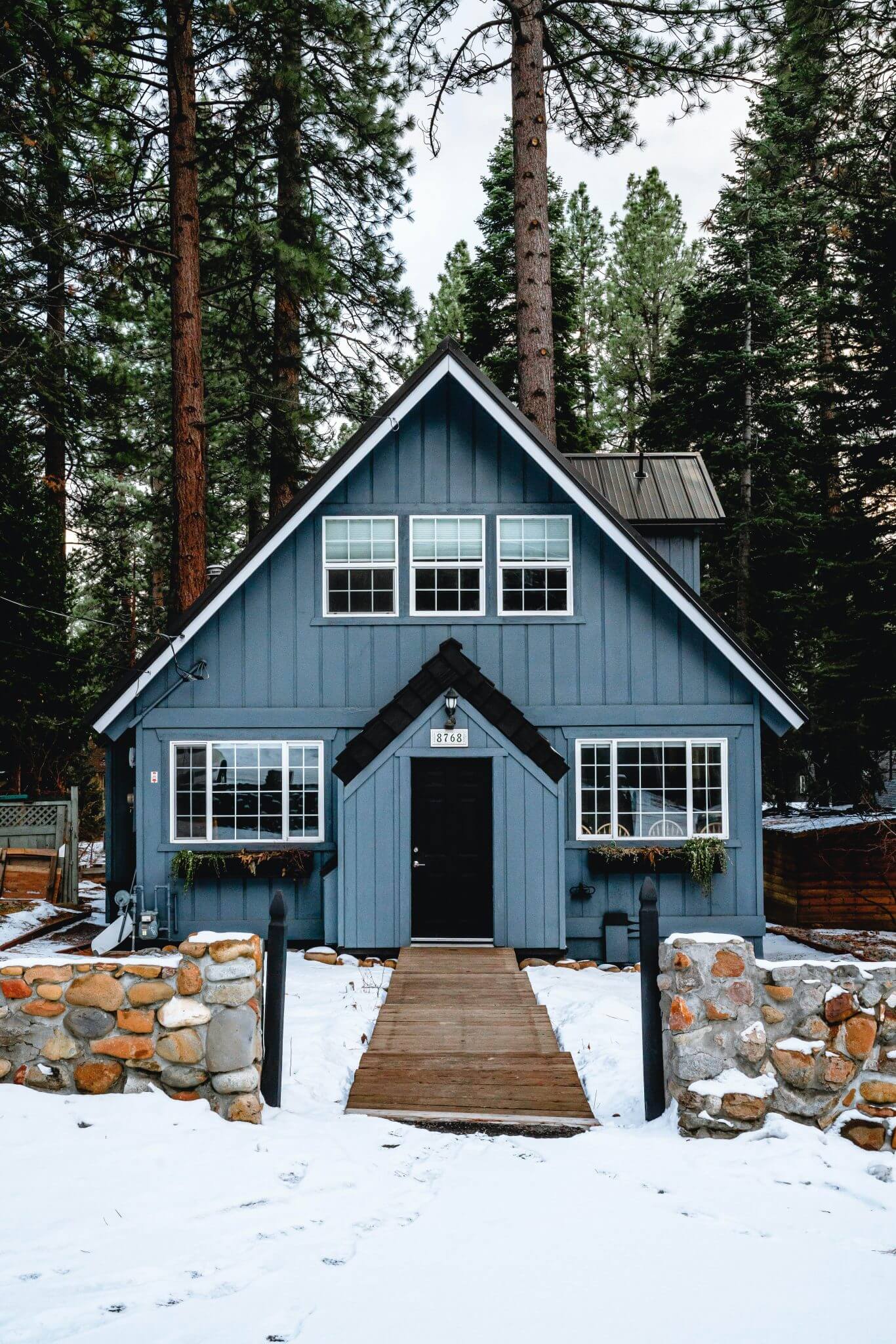 dog friendly cabins in Lake Tahoe