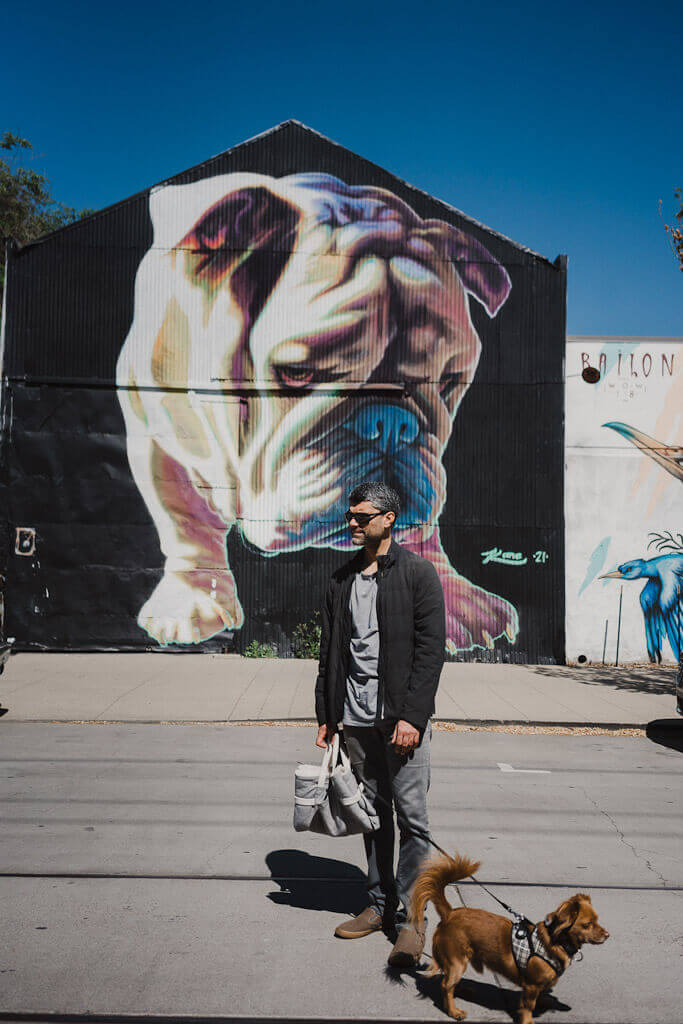 Bulldog Sacramento mural on R street