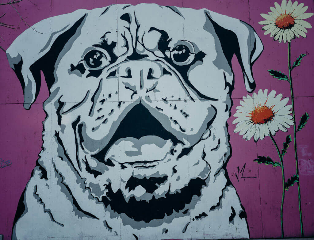 Dog mural by Megan Flaherty in downtown Sacramento