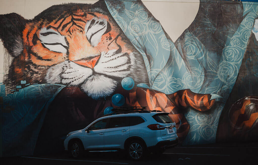 Nosego Mural in Sacramento