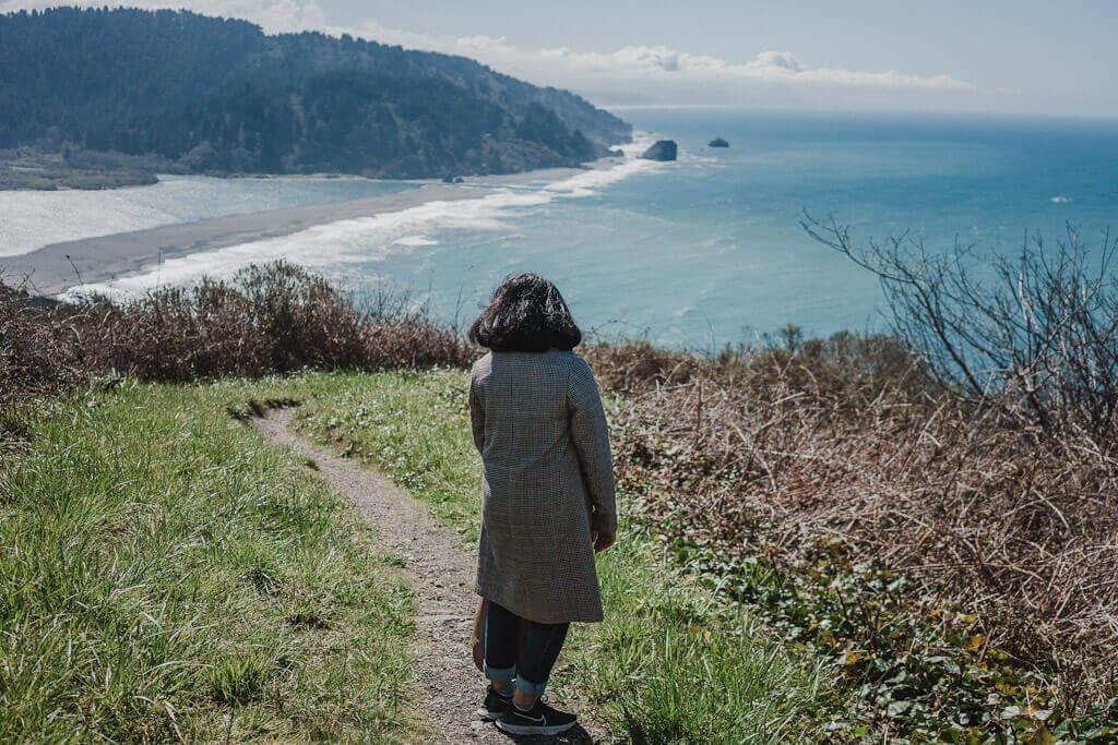 Driving up the Redwood highway: Klamath River overlook