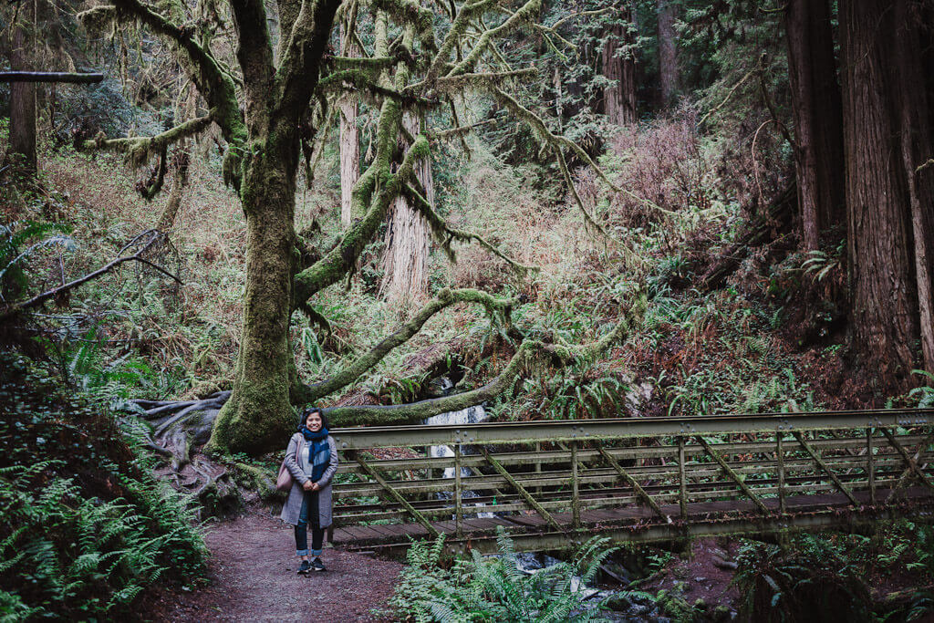 Things to do in Humboldt County: Visit Trillium Falls