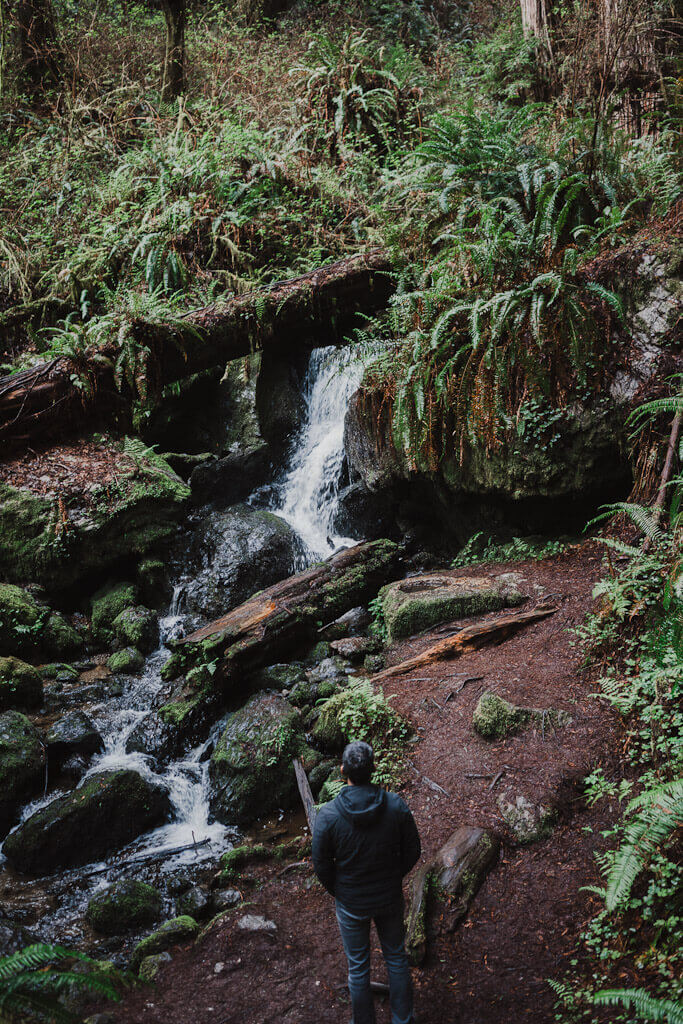 Trillium Falls in orick