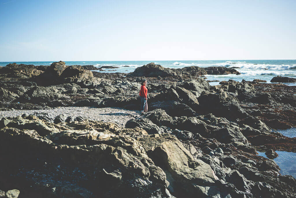 Black sand beach at Shelter Cove, a beach town in Humboldt County in Northern California