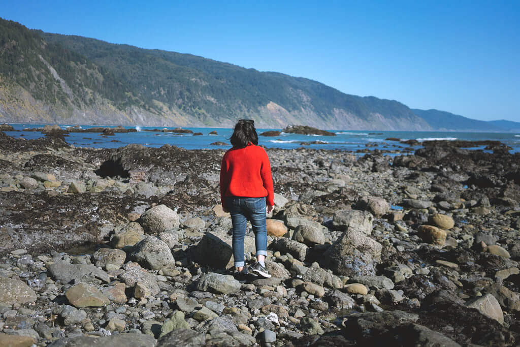 Explore Shelter Cove California- a remote beach town on the lost coast trail