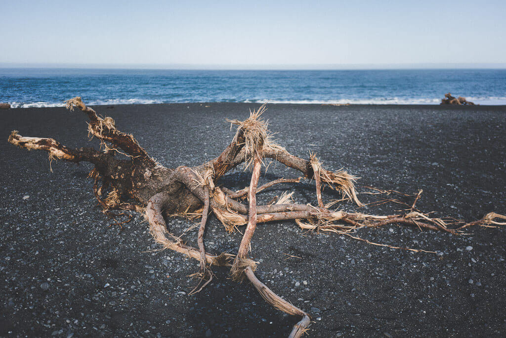 Black Sand beach at Shelter Cove