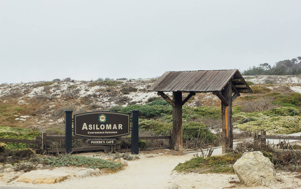 Asilomar state beach