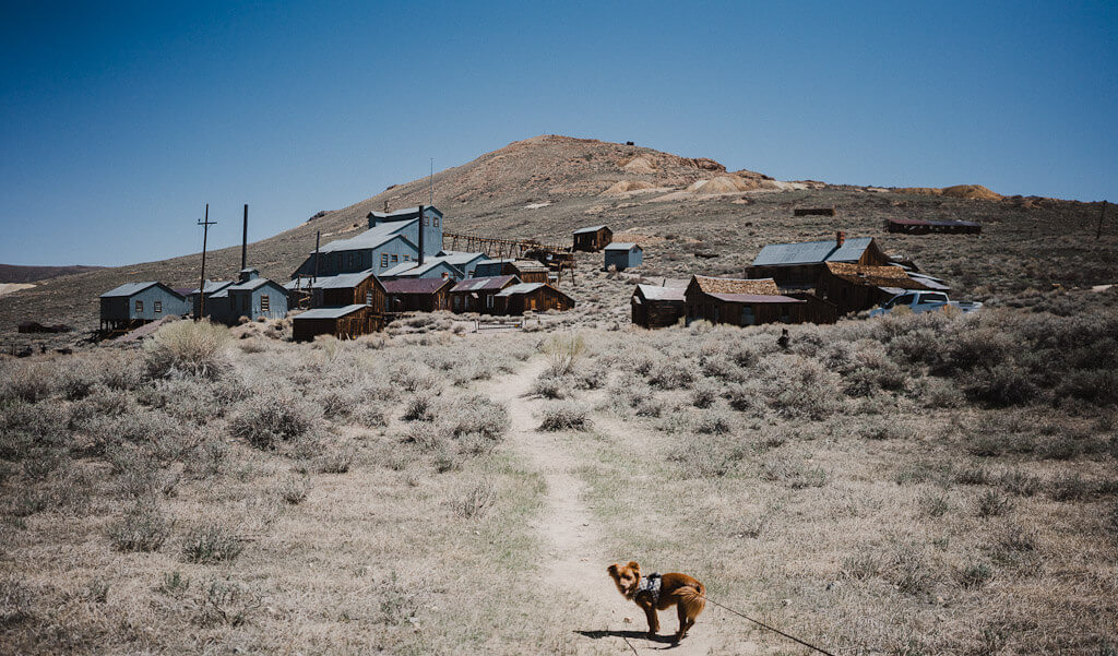 Bodie State Park