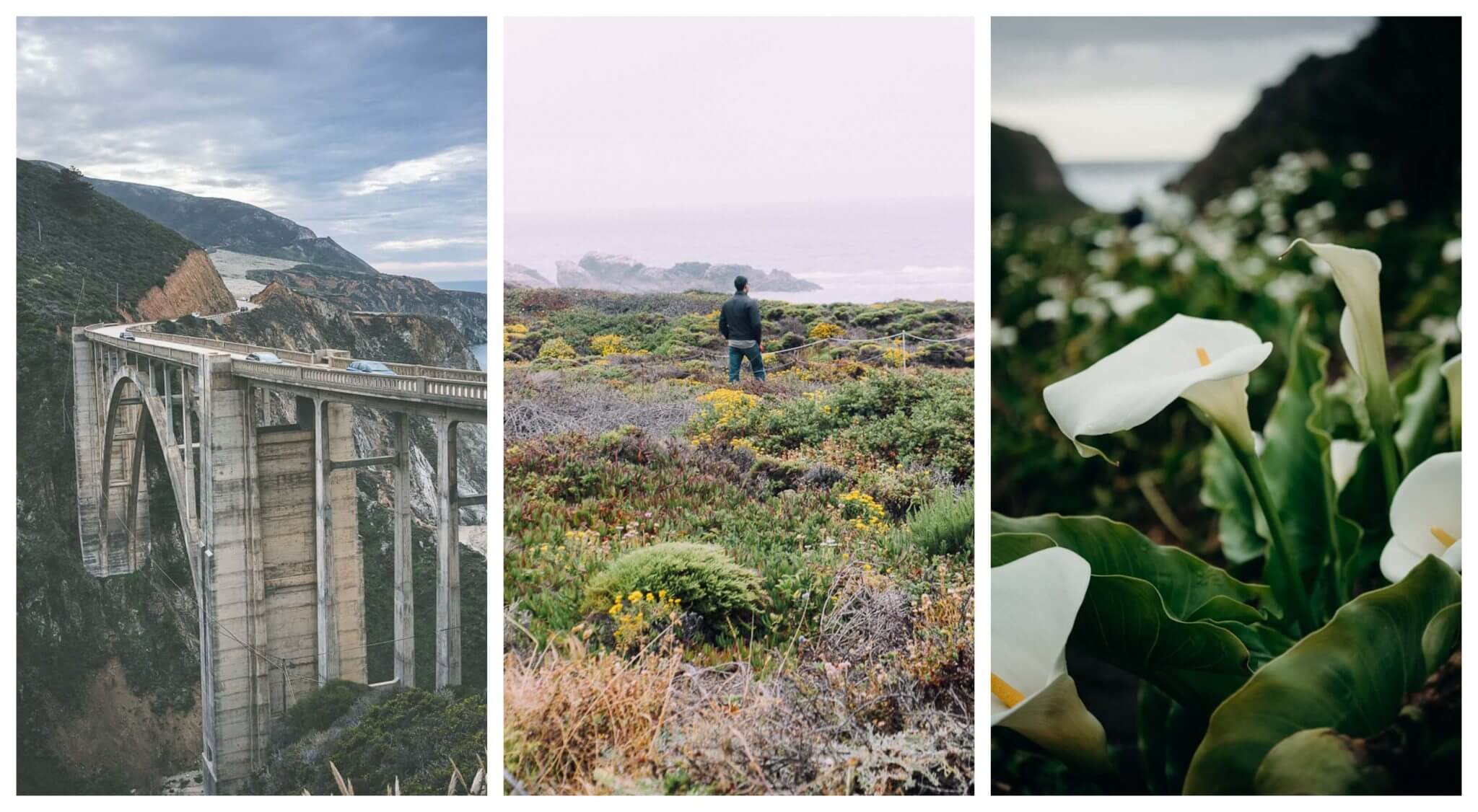 Most romantic things to do in Big Sur for a couples getaway