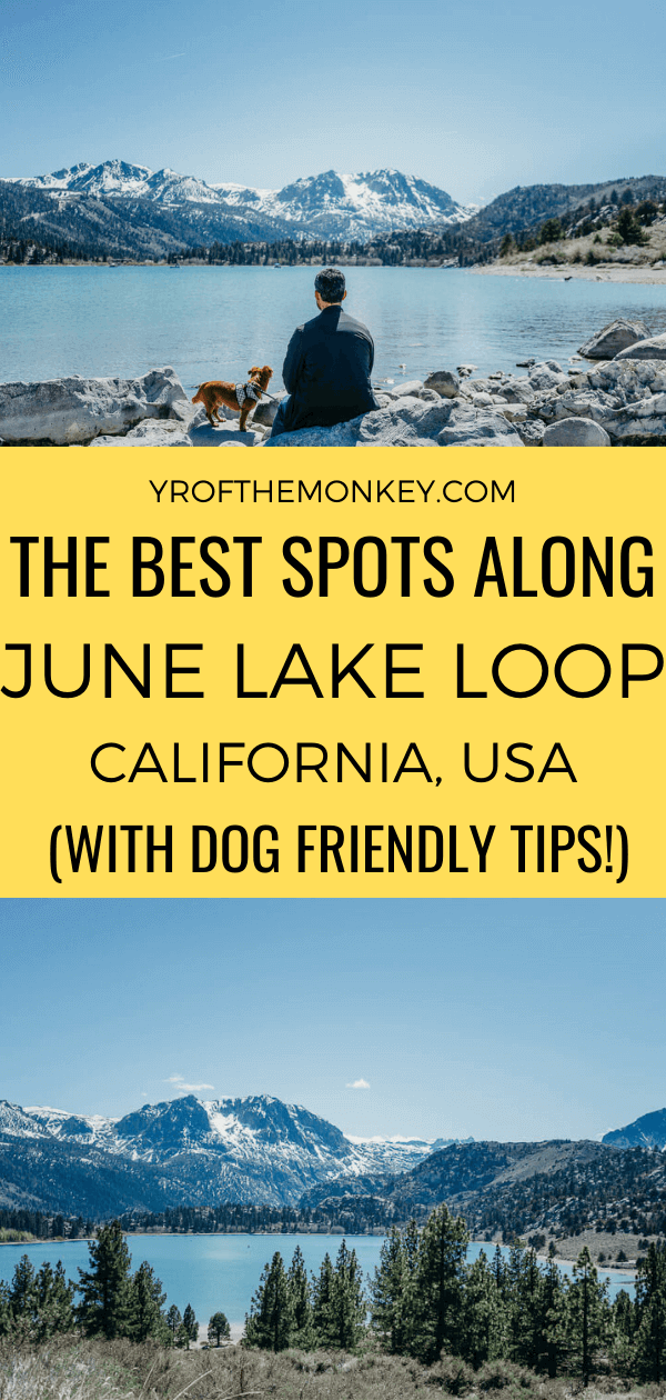 Looking to drive the June Lake Loop in California's Eastern Sierras? This post has all the tips and info on the best spots along the scenic route for the perfect California adventure! Dog friendly tips and handy map included! Pin this to your California or USA board now! #junelakeloop #california #USA #roadtrip #EasternSierras #monocounty #Californiaroadtrip #alpine