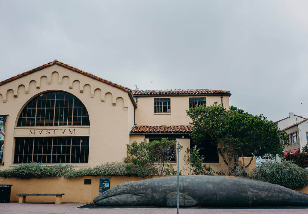 Pacific Grove Museum of Natural History is excellent place to learn about grey whales and humpback whales