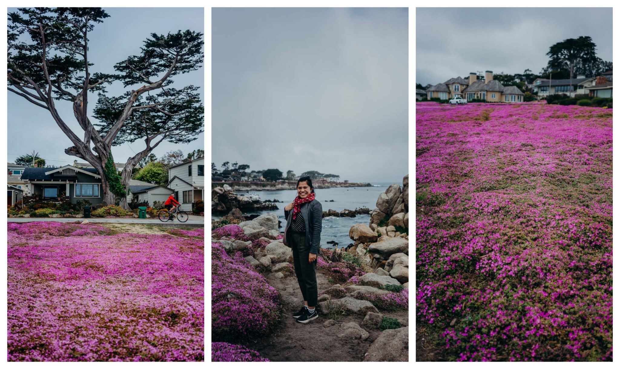 Ocean View Drive in Pacific Grove