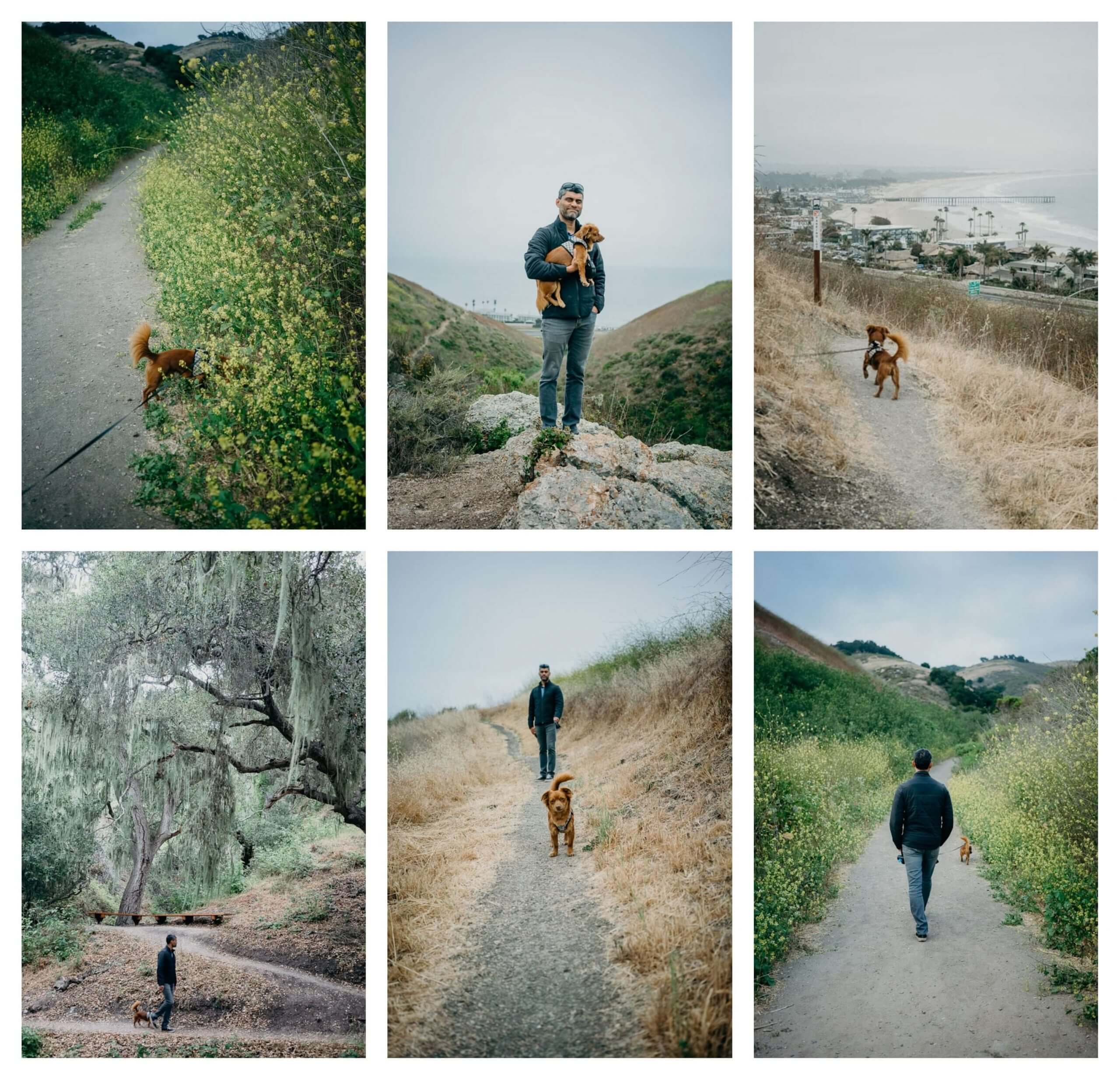 Dog friendly hiking at Pismo preserve