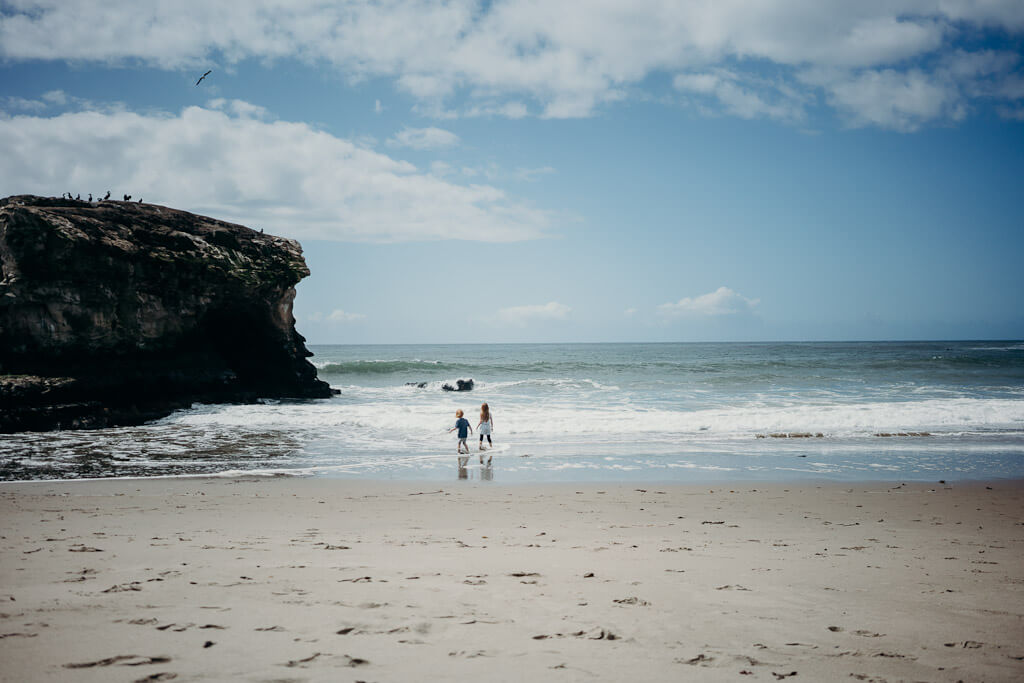 Natural Bridges beach and state park in Santa Cruz