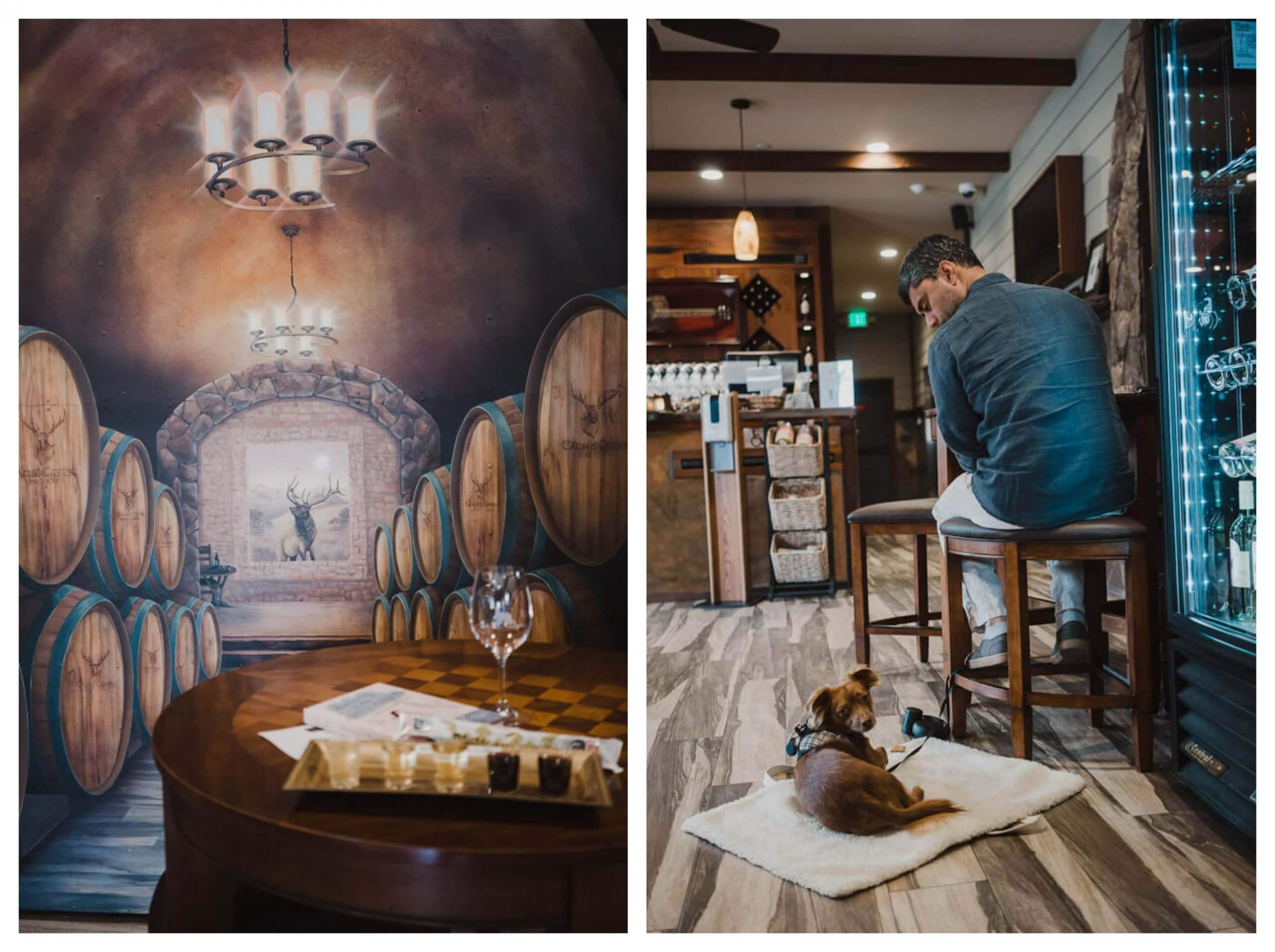 Dog friendly winery at Clear Lake: Cache Creek Vineyards and Winery
