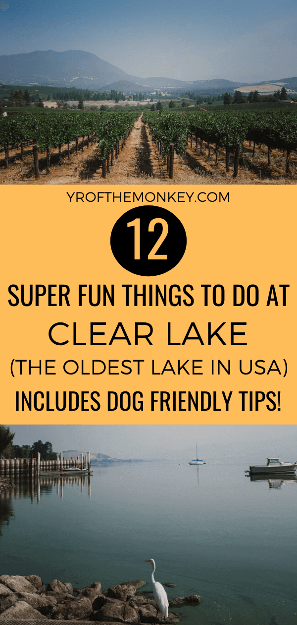 Here are 12 amazing things to do at Clear Lake, California-the oldest lake in USA! Perfect for a weekend getaway and filled with dog friendly tips, this Clear Lake itinerary guarantees a great time in Lake County. Pin it to your USA or California board now! #clearlake #California #Lakecounty #NorthernCalifornia #USA #dogfriendly #ClearlakeCA