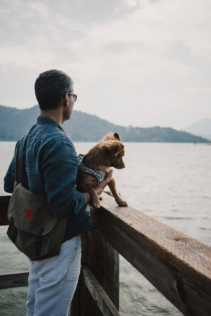 Dog friendly Redbud Park in Clear Lake