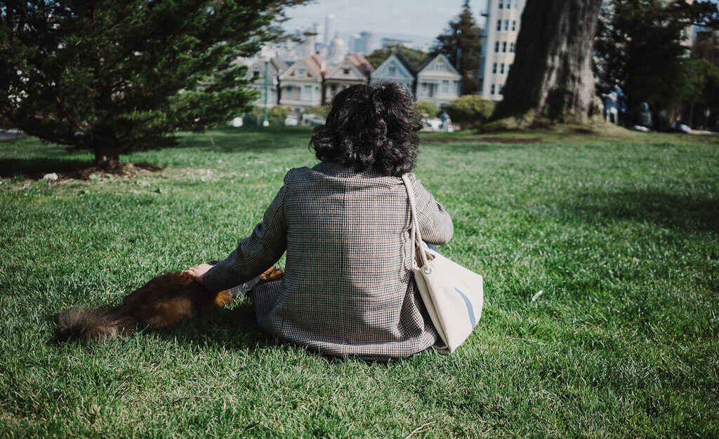 dog friendly San Francisco park: Alamo Square