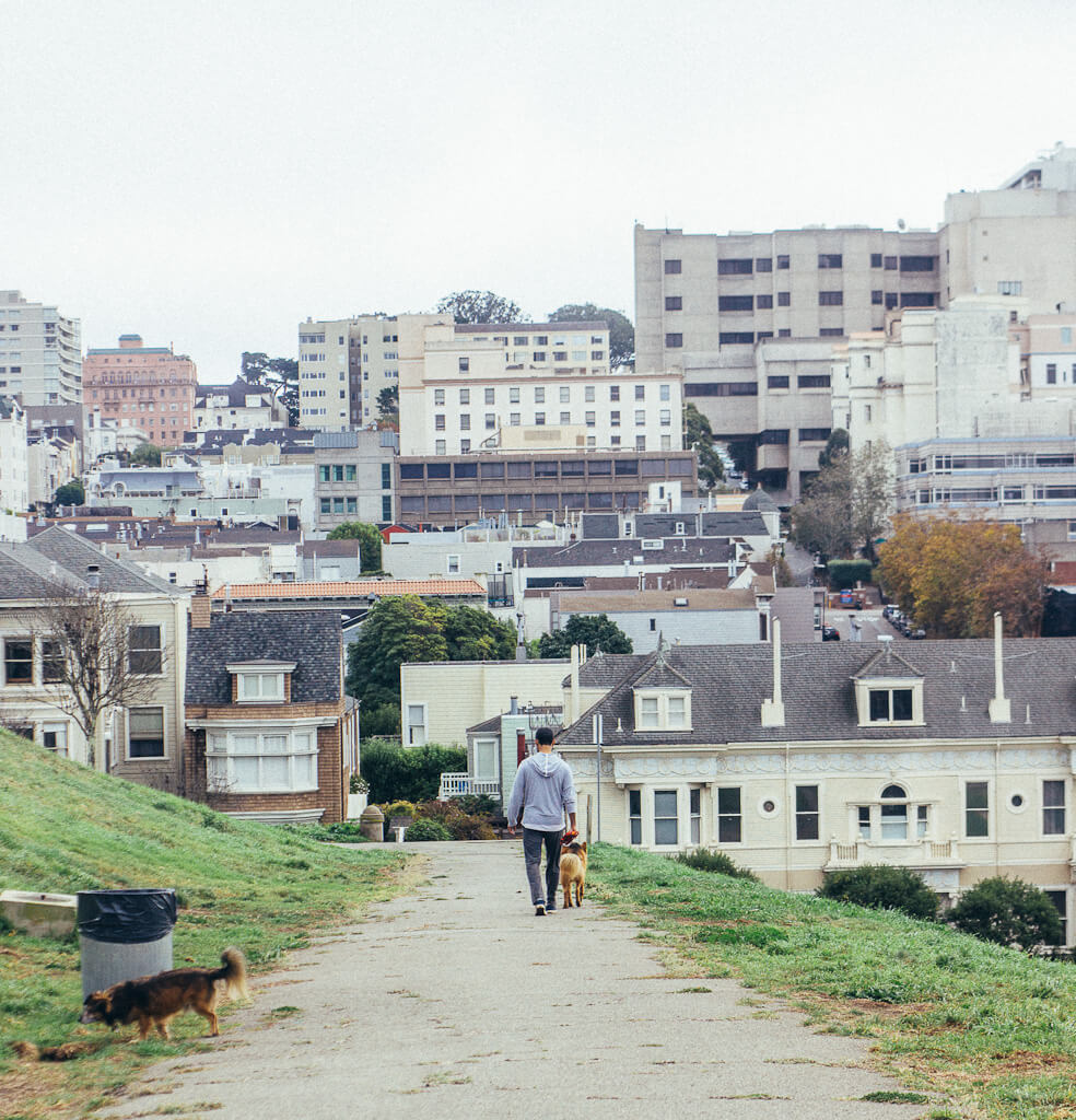 Alta Plaza dog park in San Francisco