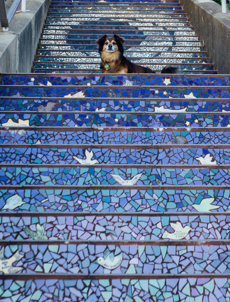 16th Avenue Mosaic Steps and Grand View Park