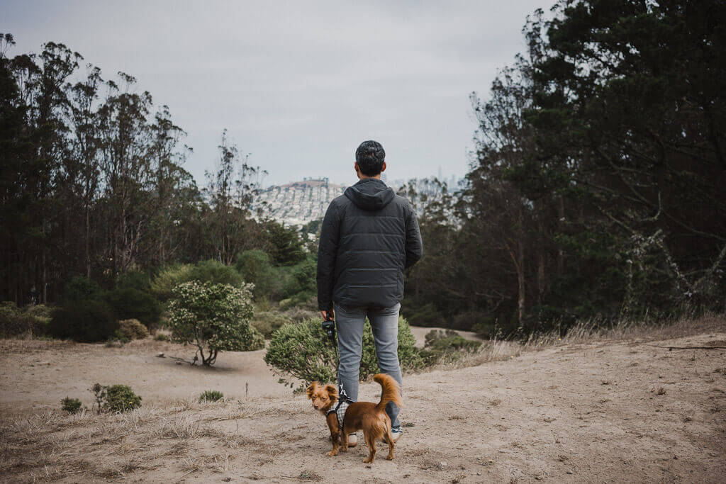 John McLaren park is one of the best dog parks in San Francisco 