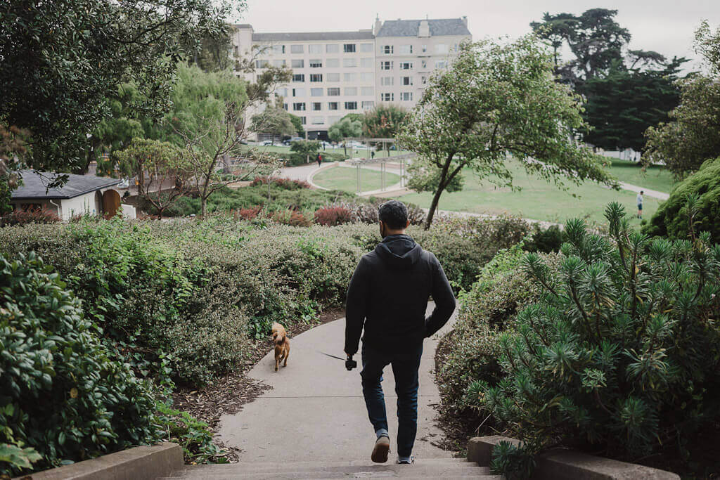 Dog parks in San Francisco that you must visit