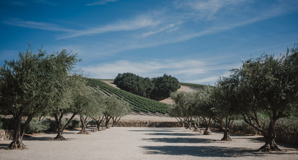 Wineries allowing dogs in Paso Robles, dog friendly wine tasting in Paso Robles